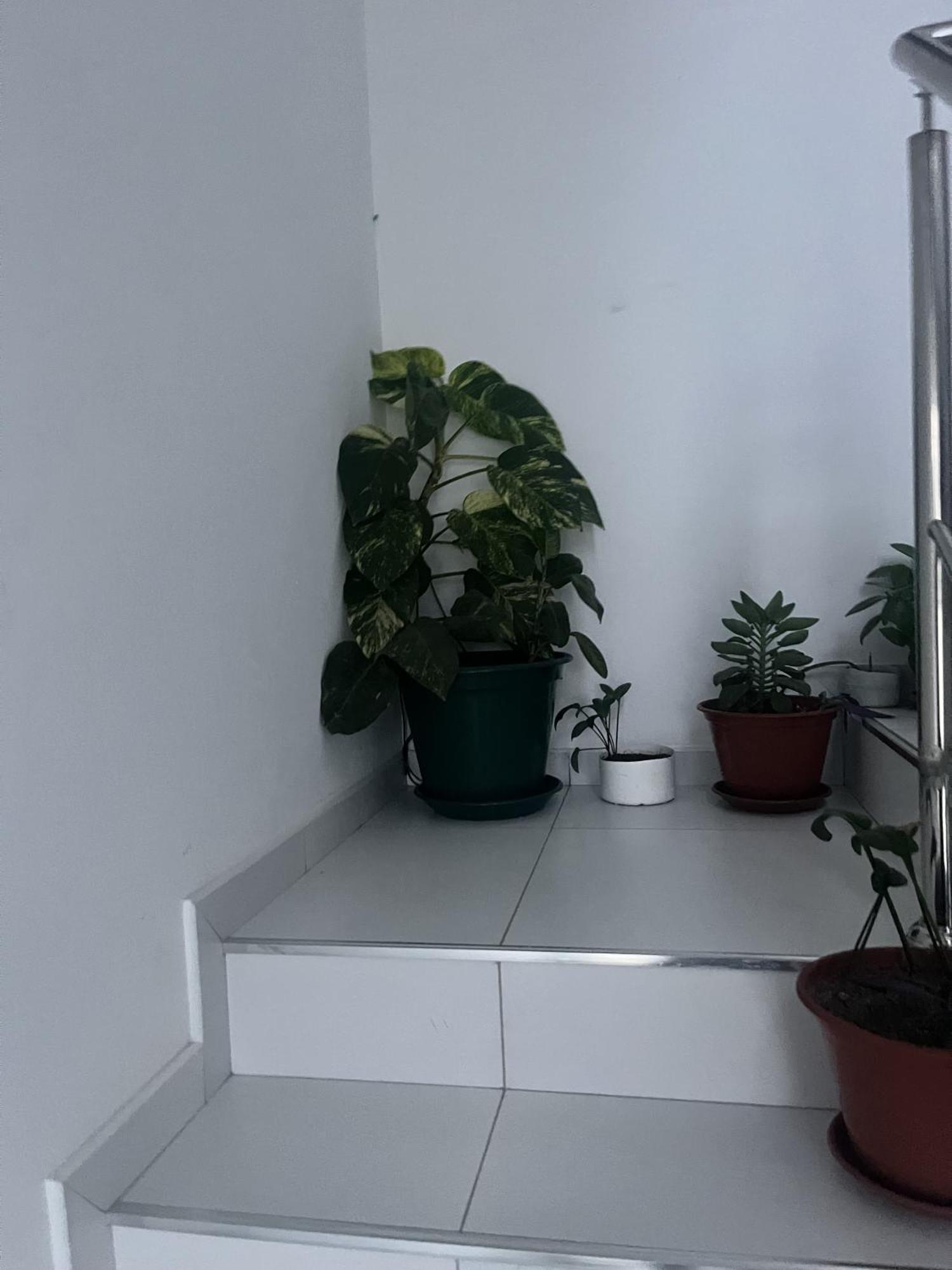 폰타 두 솔 Oasis De Retour 아파트 외부 사진